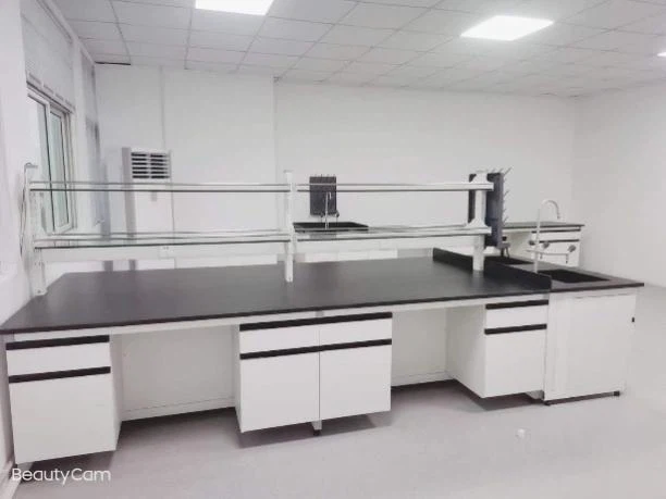 Laboratory Working Bench